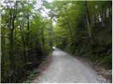 Stara Fužina - Planina Krstenica